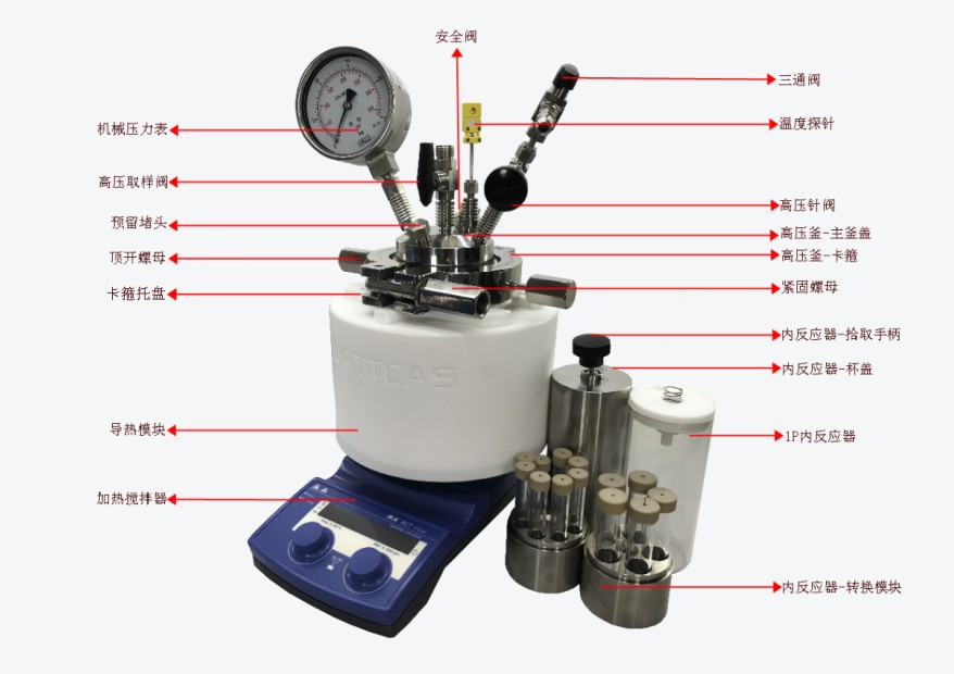 高压平行反应仪结构示意图.JPG