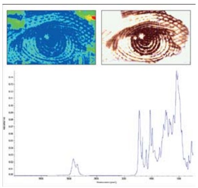 傅立叶变换红外显微光谱仪分析纸上的油墨.JPG